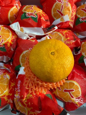 WhatsApp Image 2023-11-15 at 13.25.09